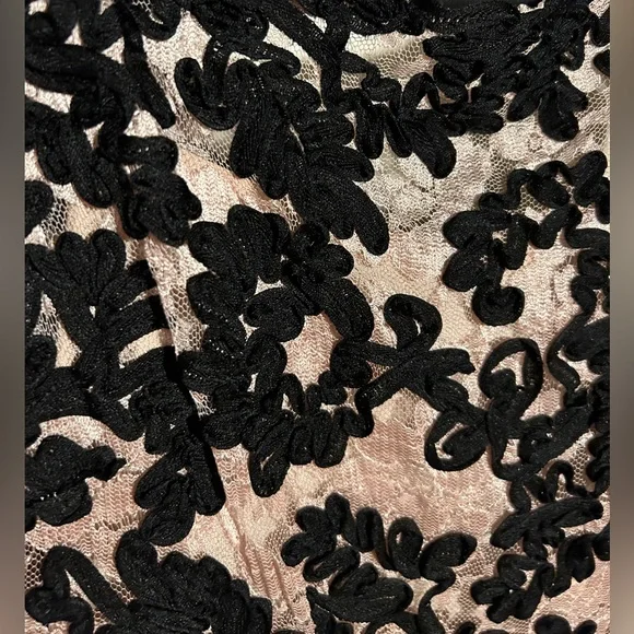 Yoana Baraschi Anthropologie Sheer Jardim Lace Dress Black Women’s Sz 4 - Picture 9 of 10